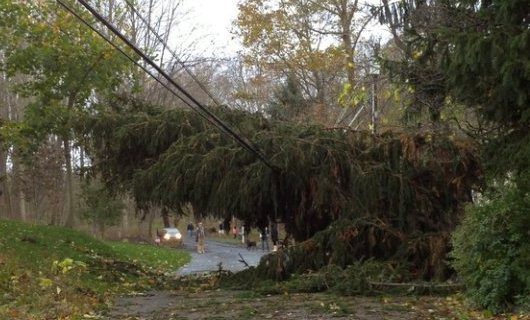 Downed Trees and Power Lines Caused by Hurricane Sandy